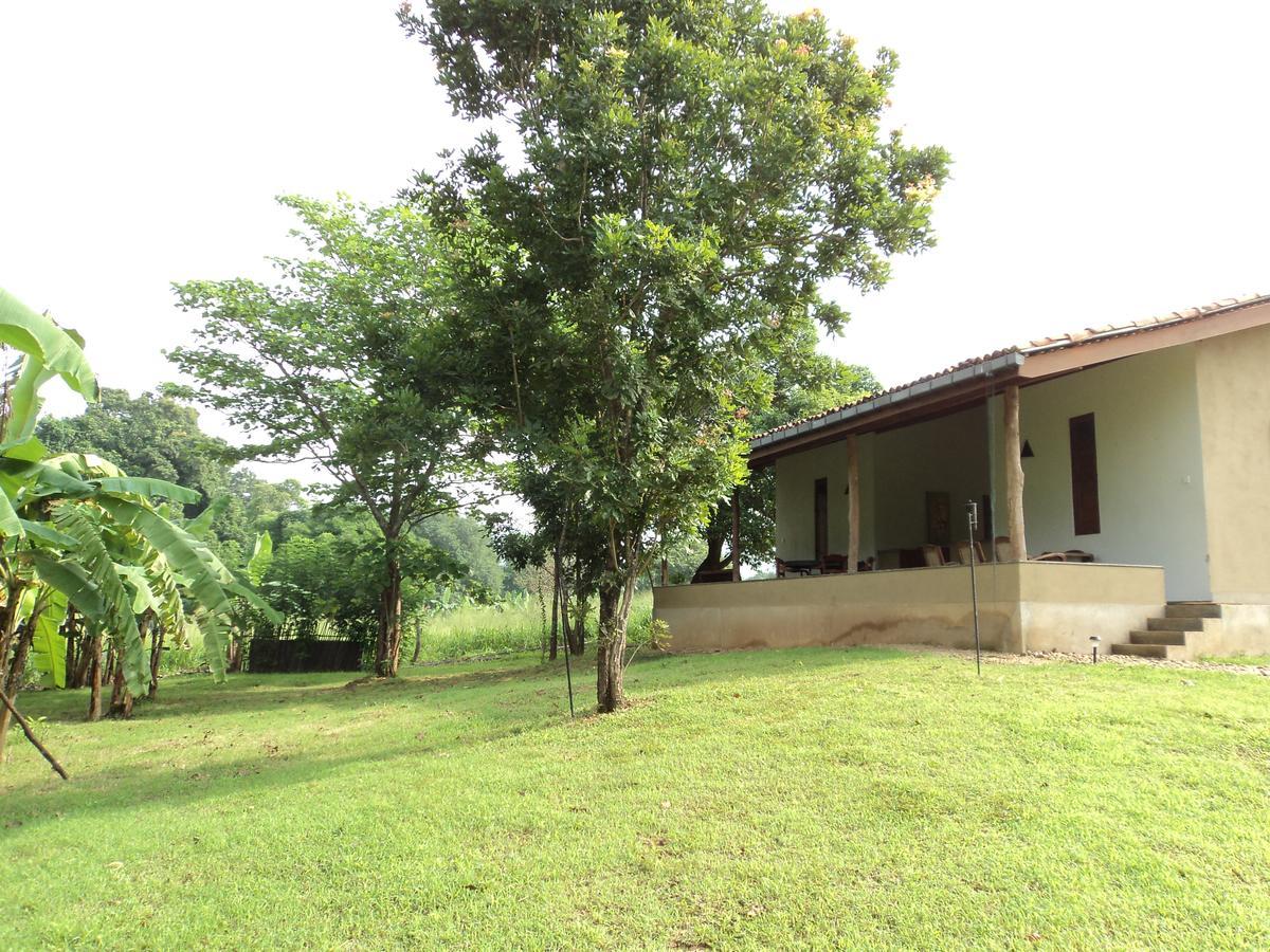 Wildescape, Yala Blocks 3 & 5 Villa Buttala Ngoại thất bức ảnh