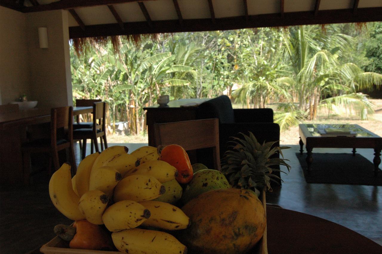 Wildescape, Yala Blocks 3 & 5 Villa Buttala Ngoại thất bức ảnh