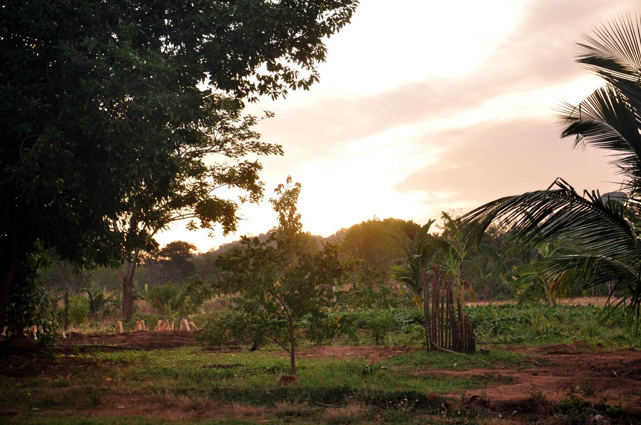 Wildescape, Yala Blocks 3 & 5 Villa Buttala Ngoại thất bức ảnh